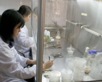 SV đoạt giải nhất NCKH được đi du học